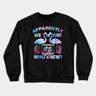 Apparently We're Trouble When We Are Cruising Together 2024 Crewneck Sweatshirt